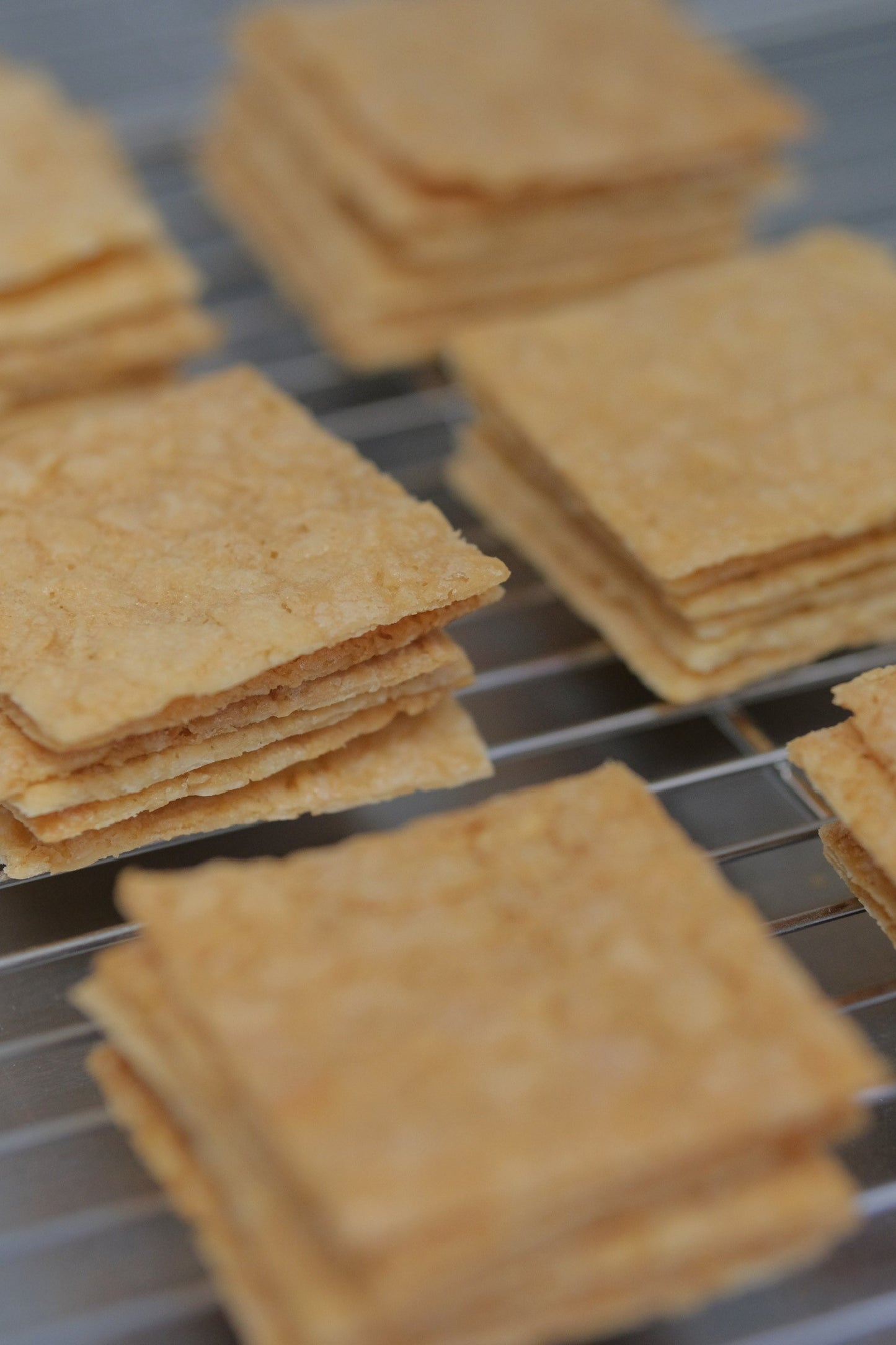 Almond Tuiles
